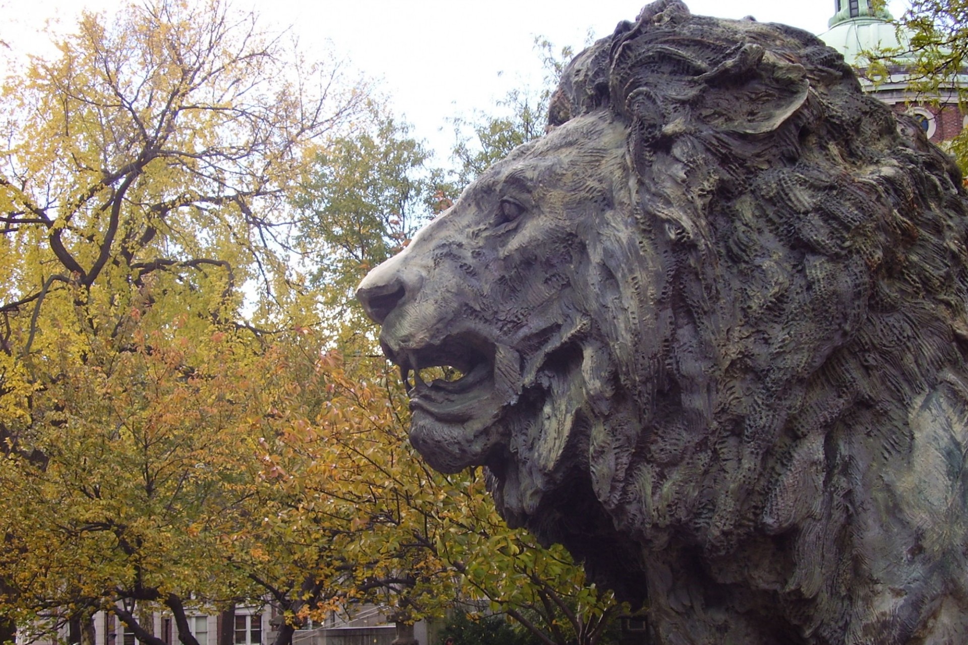 Scholarly Lion at Columbia University