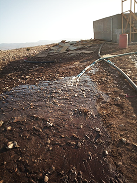 Water drains out of a hose, with a building in the background